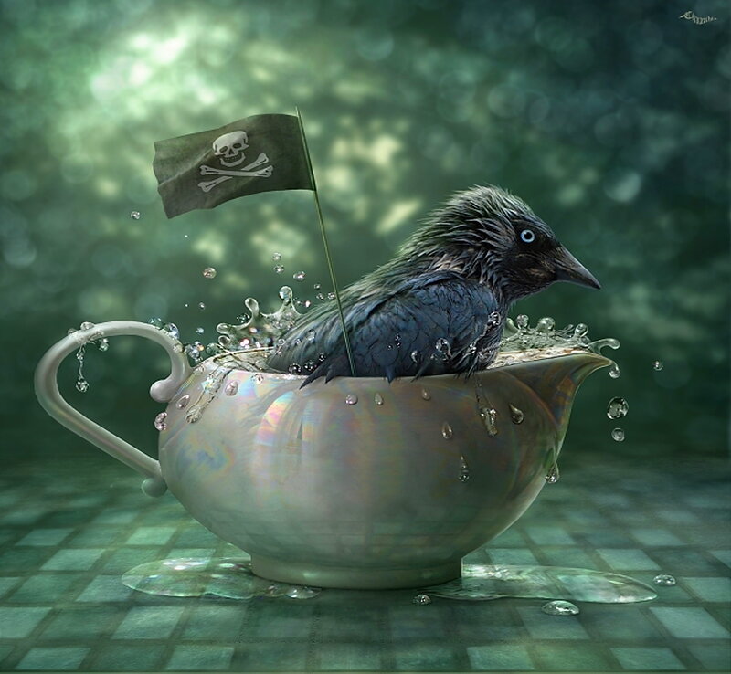 Wet Bird in Teacup