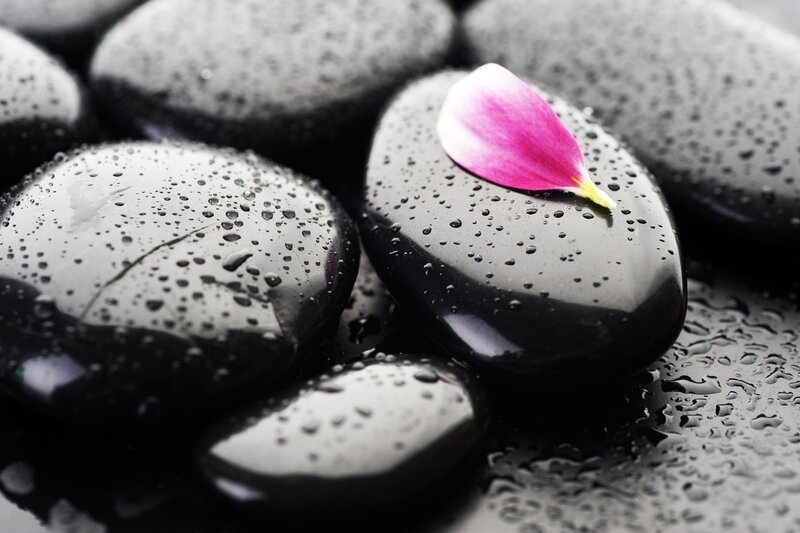 wet black stones with flower petal
