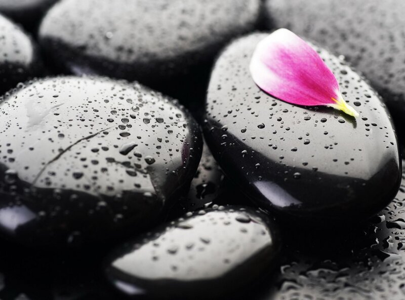 wet black stones with flower petal