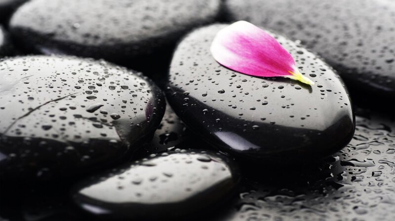 Wet Black Stones with Petal — Serene