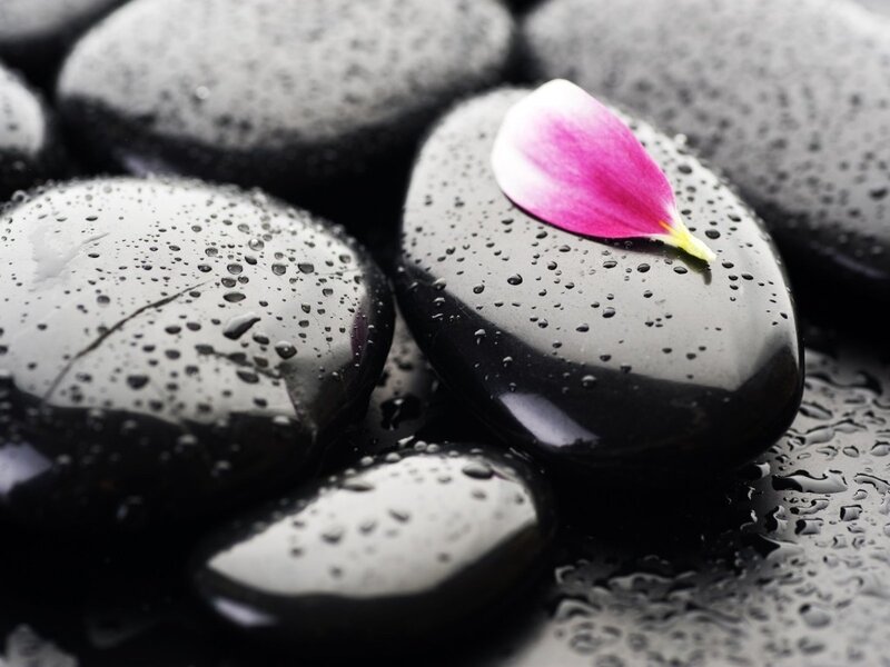 Wet Black Stones with Petal