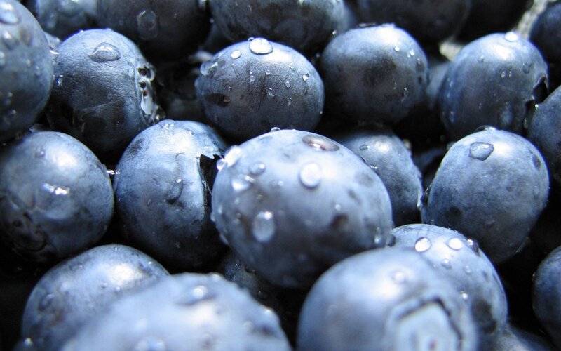 Wet Blueberries — Blue, Fresh