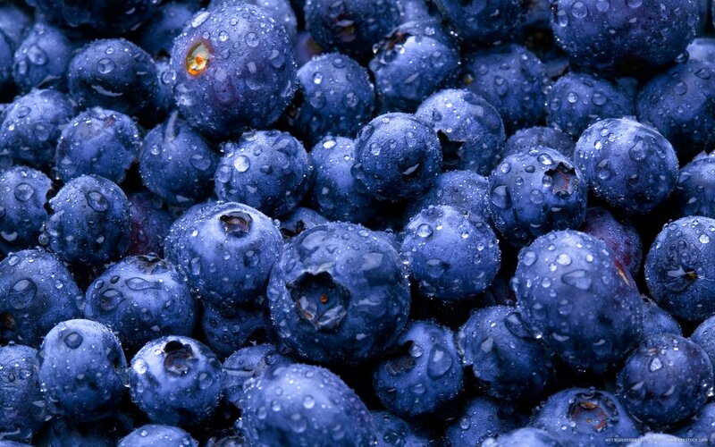wet blueberries with water droplets