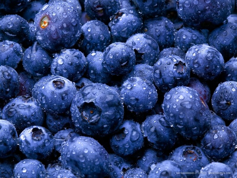 Wet blueberries with water droplets