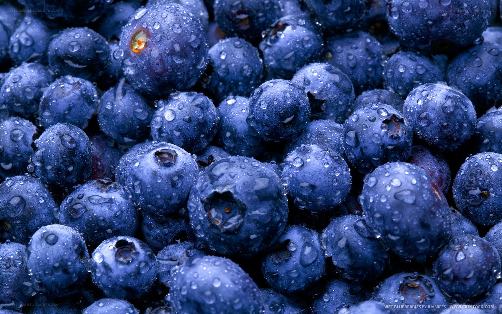 Wet blueberries with water droplets