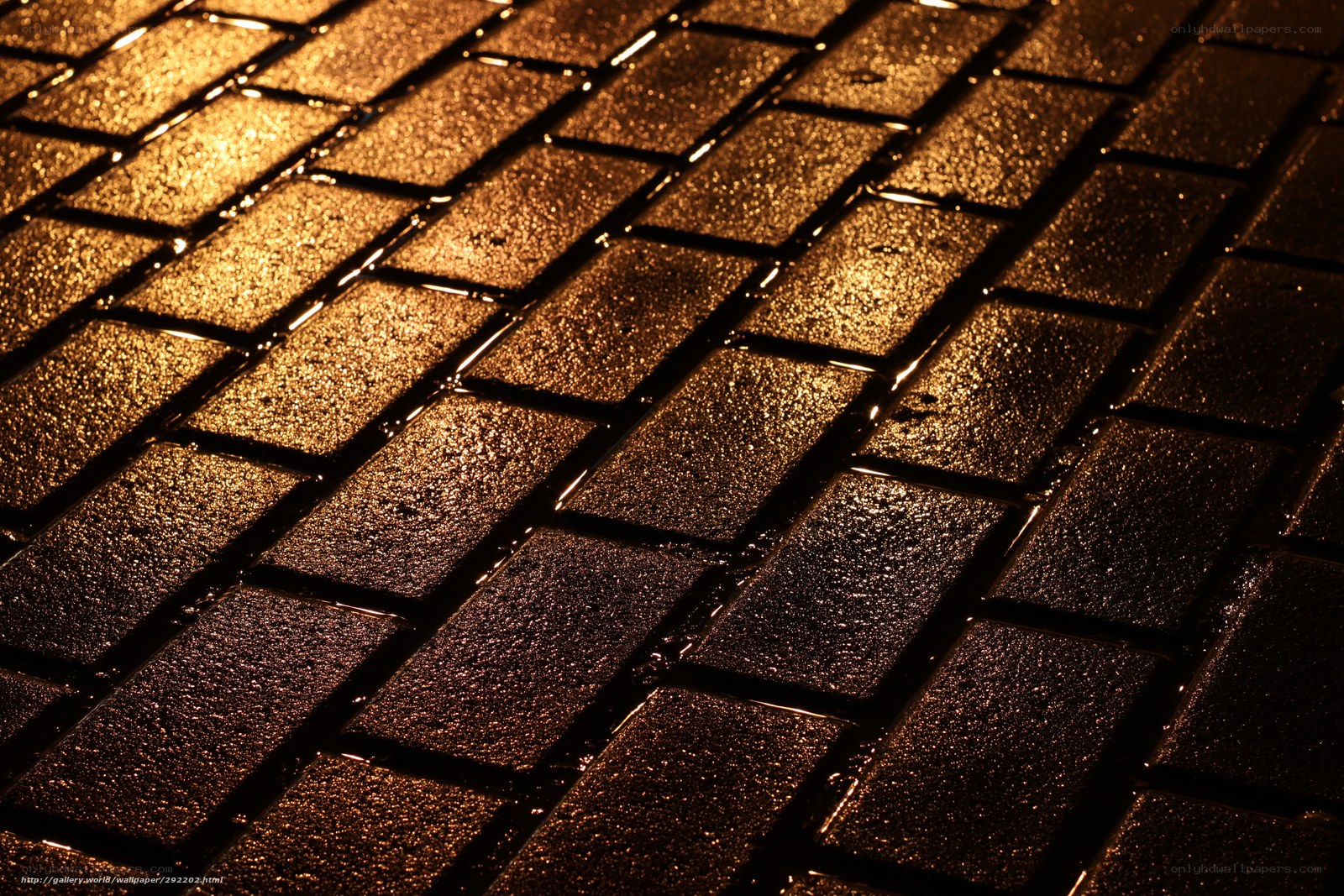 Wet brick pavement at night