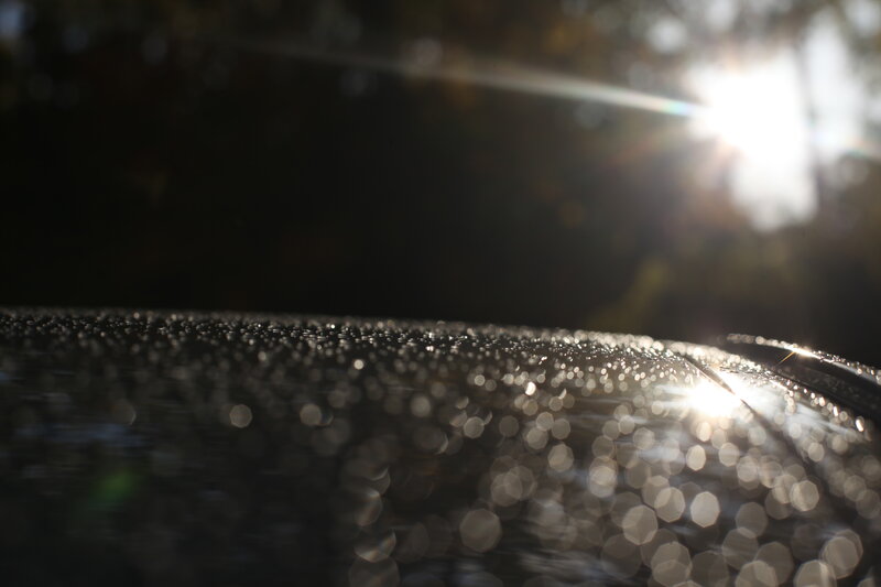 Wet Car Surface