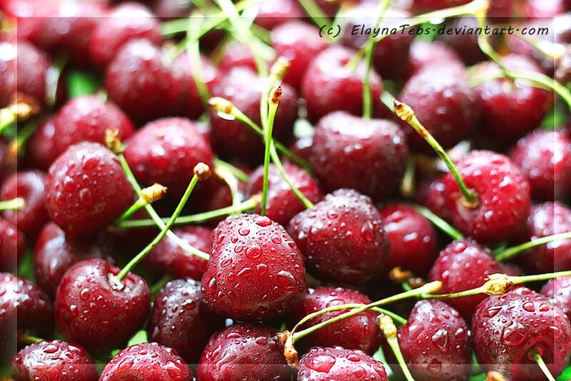 Wet Cherries with Stems — Red