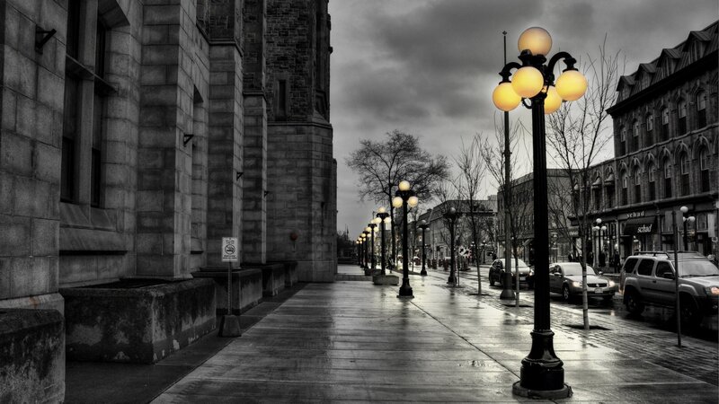 Wet City Street at Dusk — Black