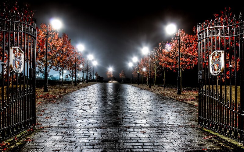 Wet Cobblestone Path — Black