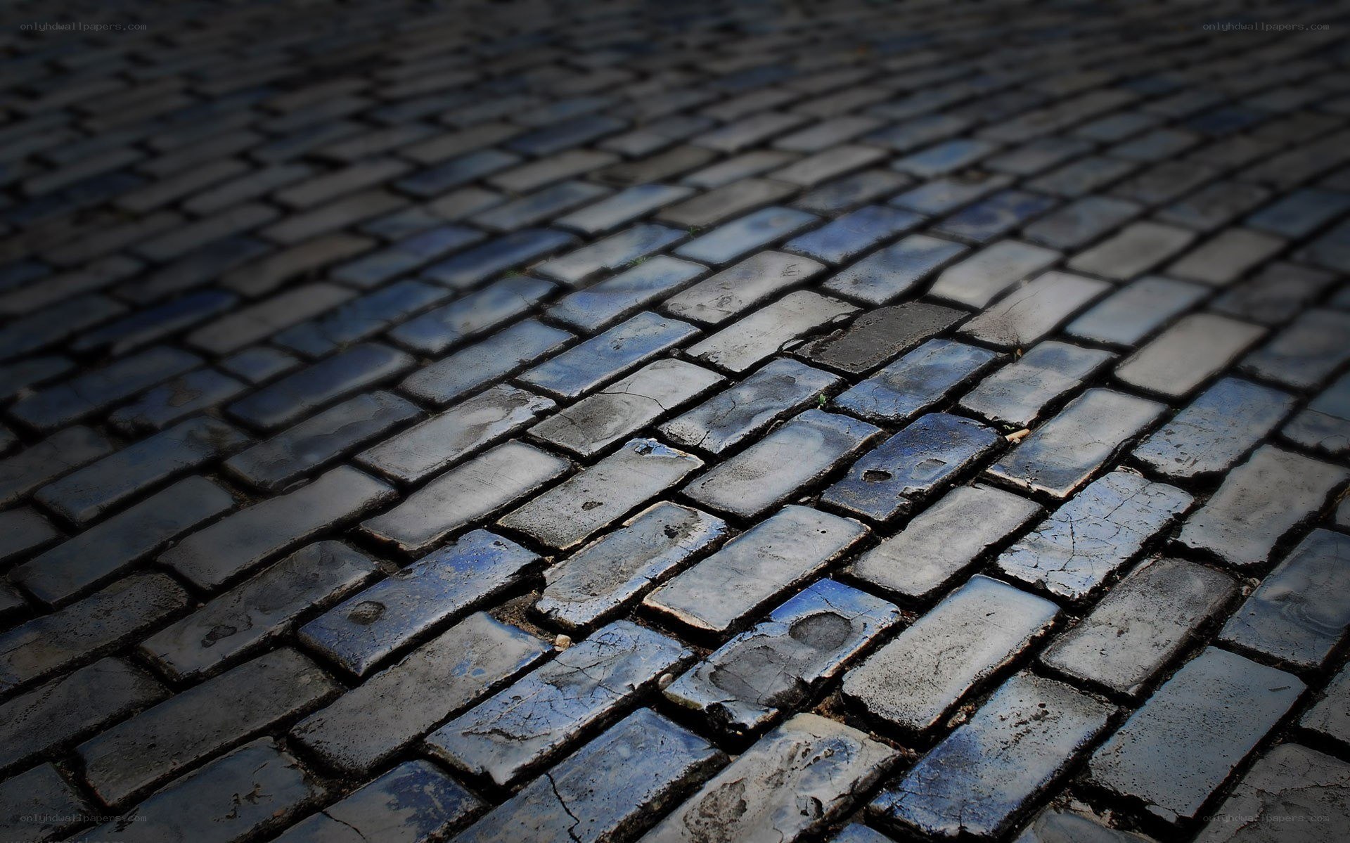 wet cobblestone pavement