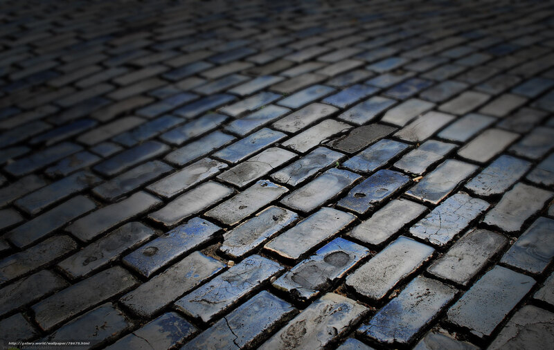 wet cobblestone pavement