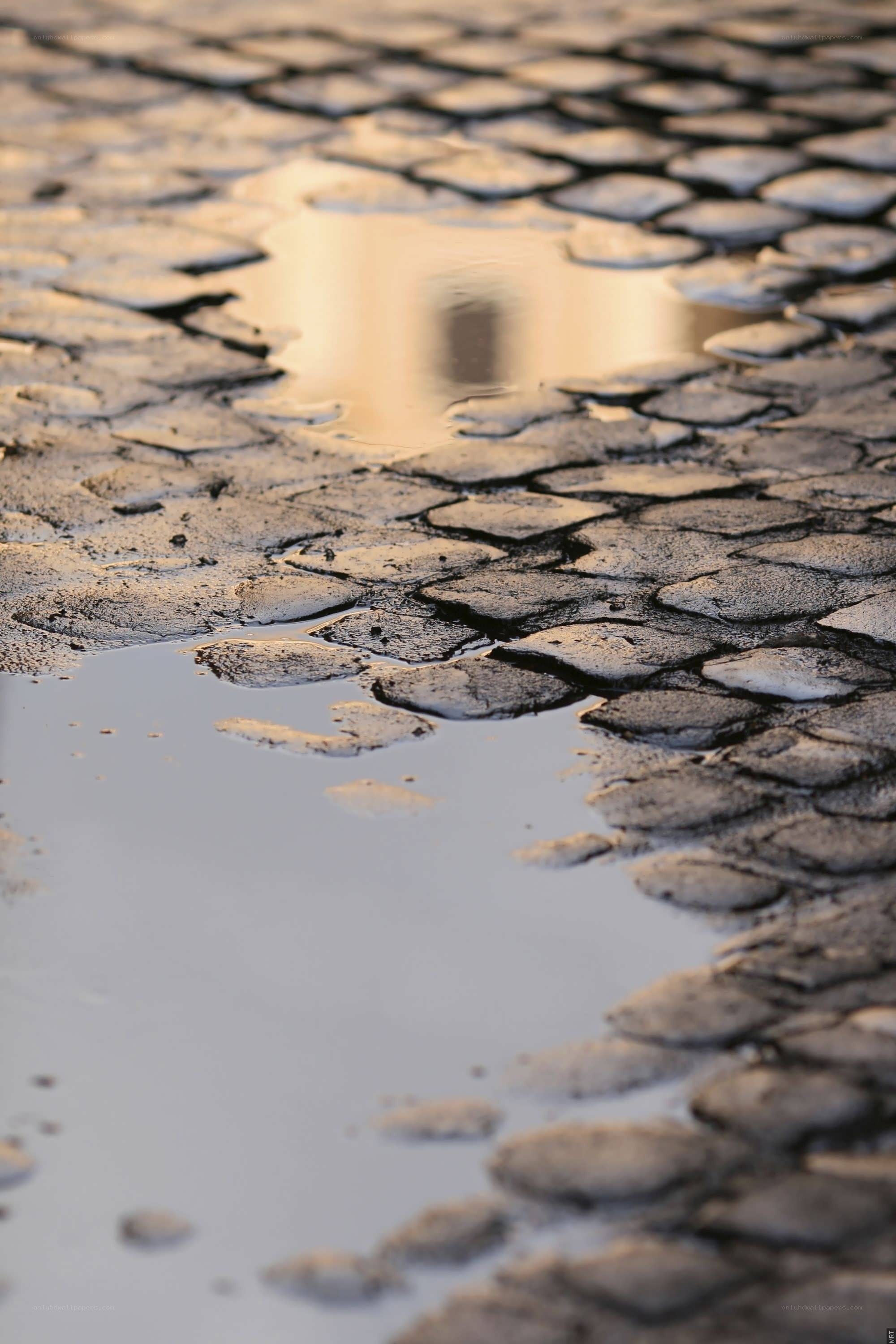 wet cobblestone street