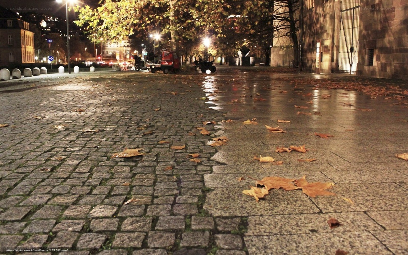Wet cobblestone street at night