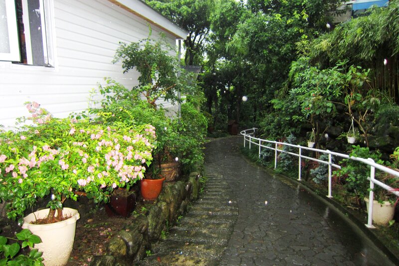 Wet Garden Path