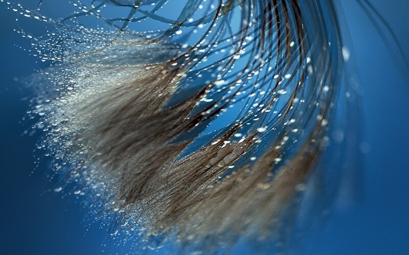 Wet Hair with Water Droplets