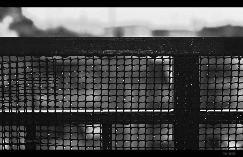 wet mesh fence in black and white