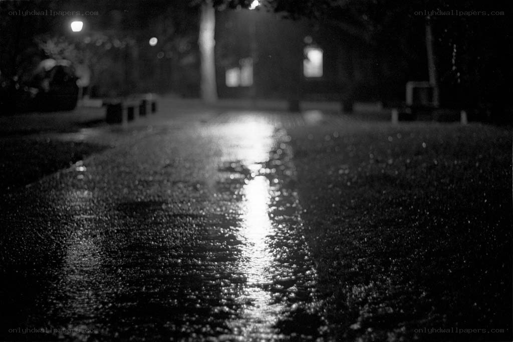 Wet path at night
