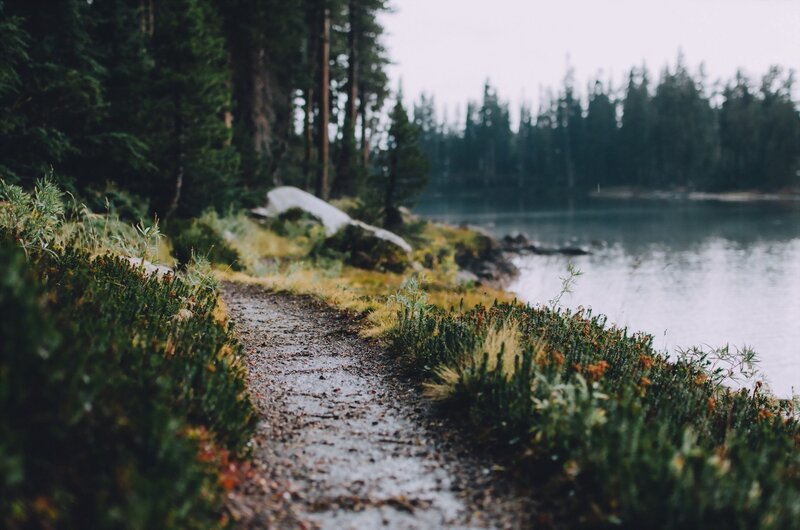 Wet Path by Lake