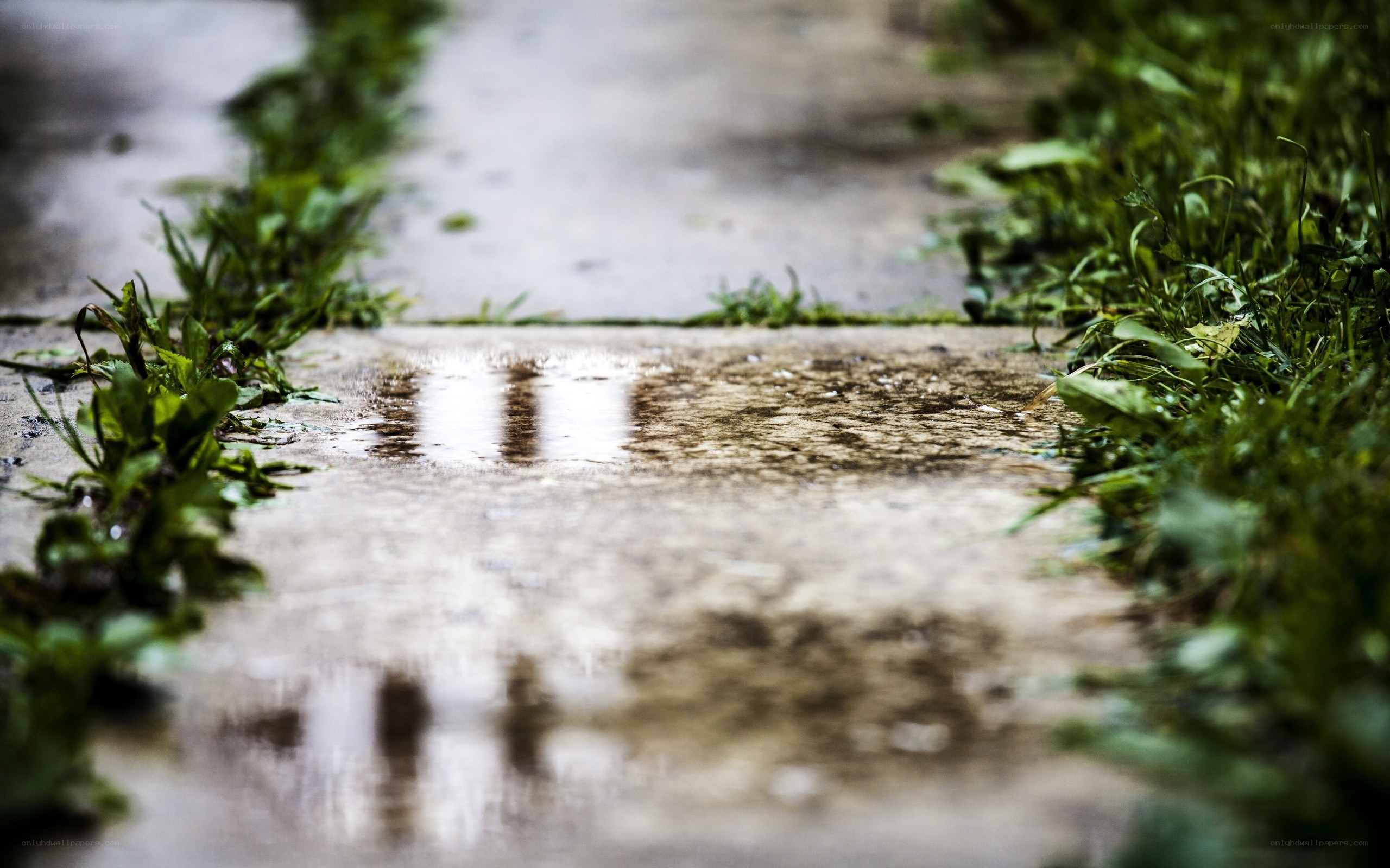 wet path with puddle