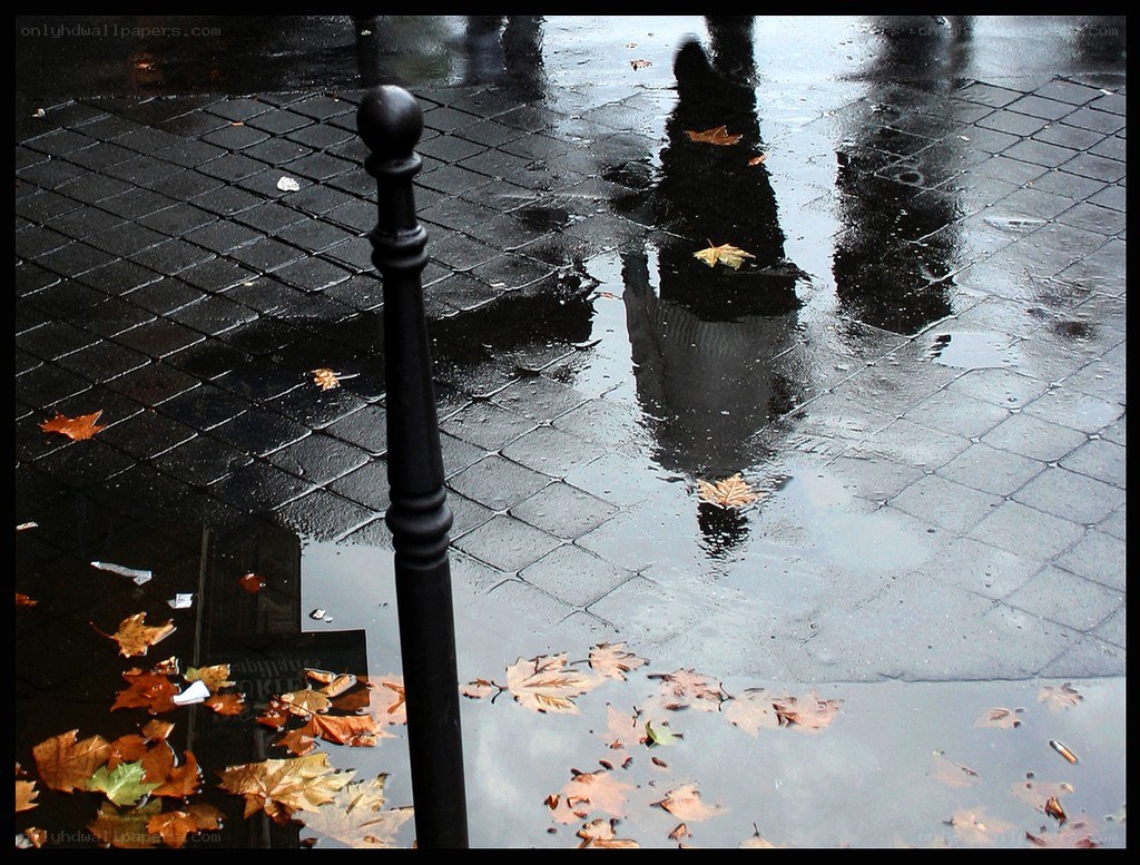 wet pavement with reflections