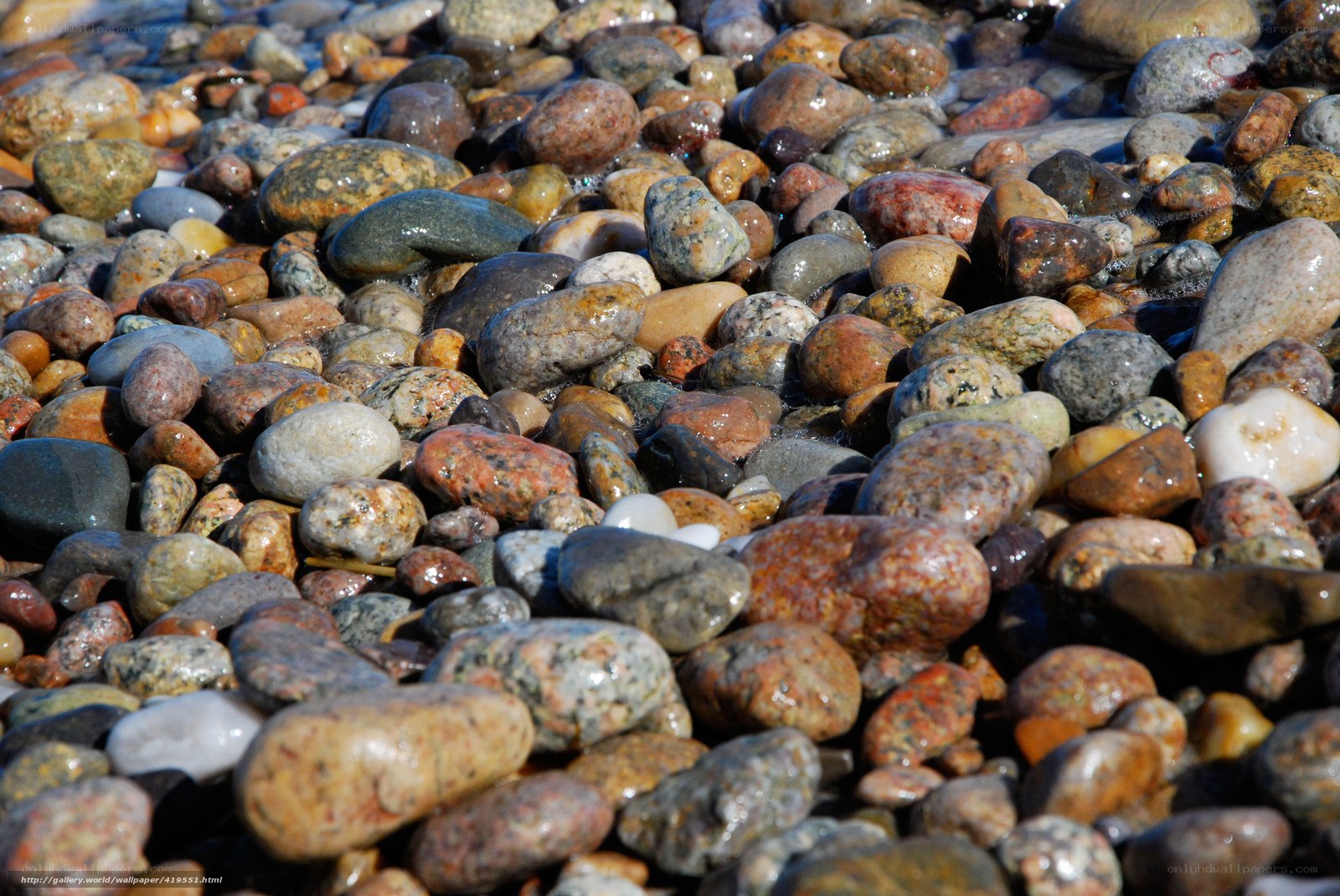 Wet pebbles on a beach