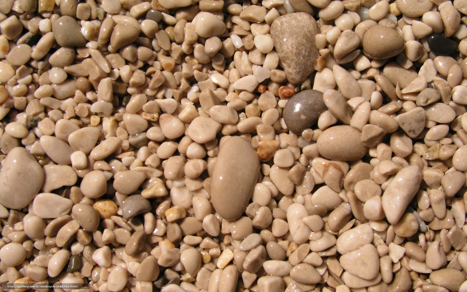 Wet pebbles on a beach