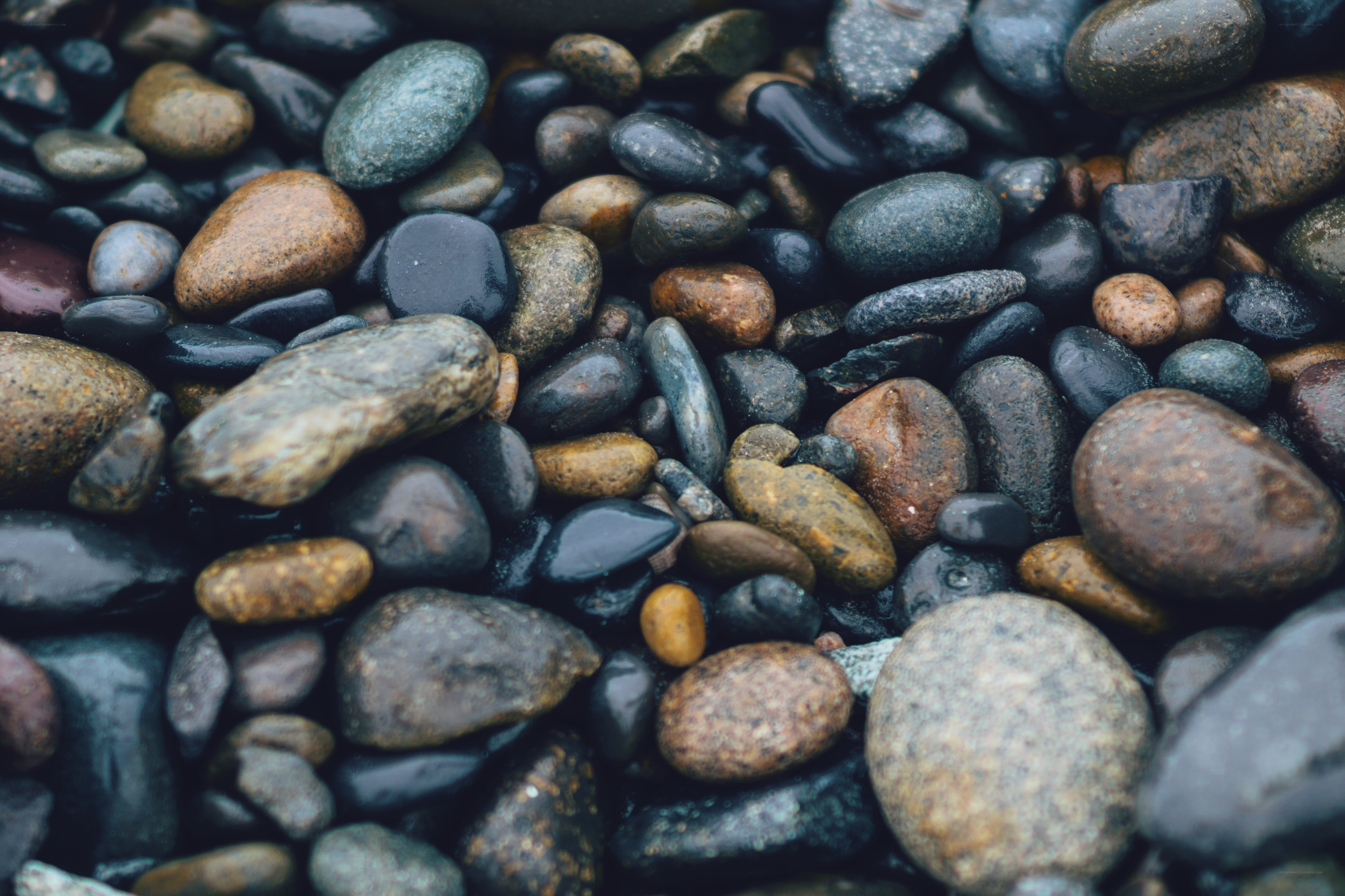 wet pebbles on a beach