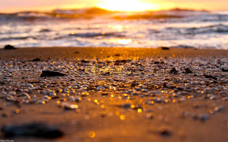 Wet Pebbles on Beach — Gold