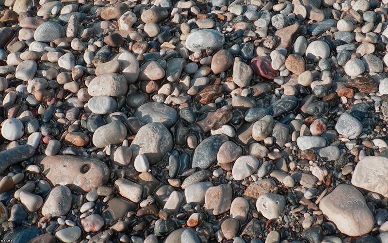 Wet Pebbles on Beach — Gray, Calm, Afternoon, Photograph, Sand