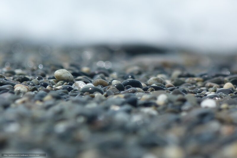 Wet Pebbles on Beach — Gray