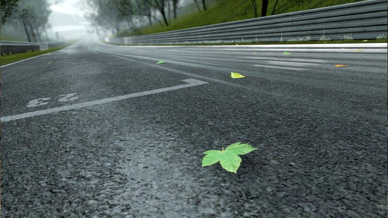 wet racetrack with leaves