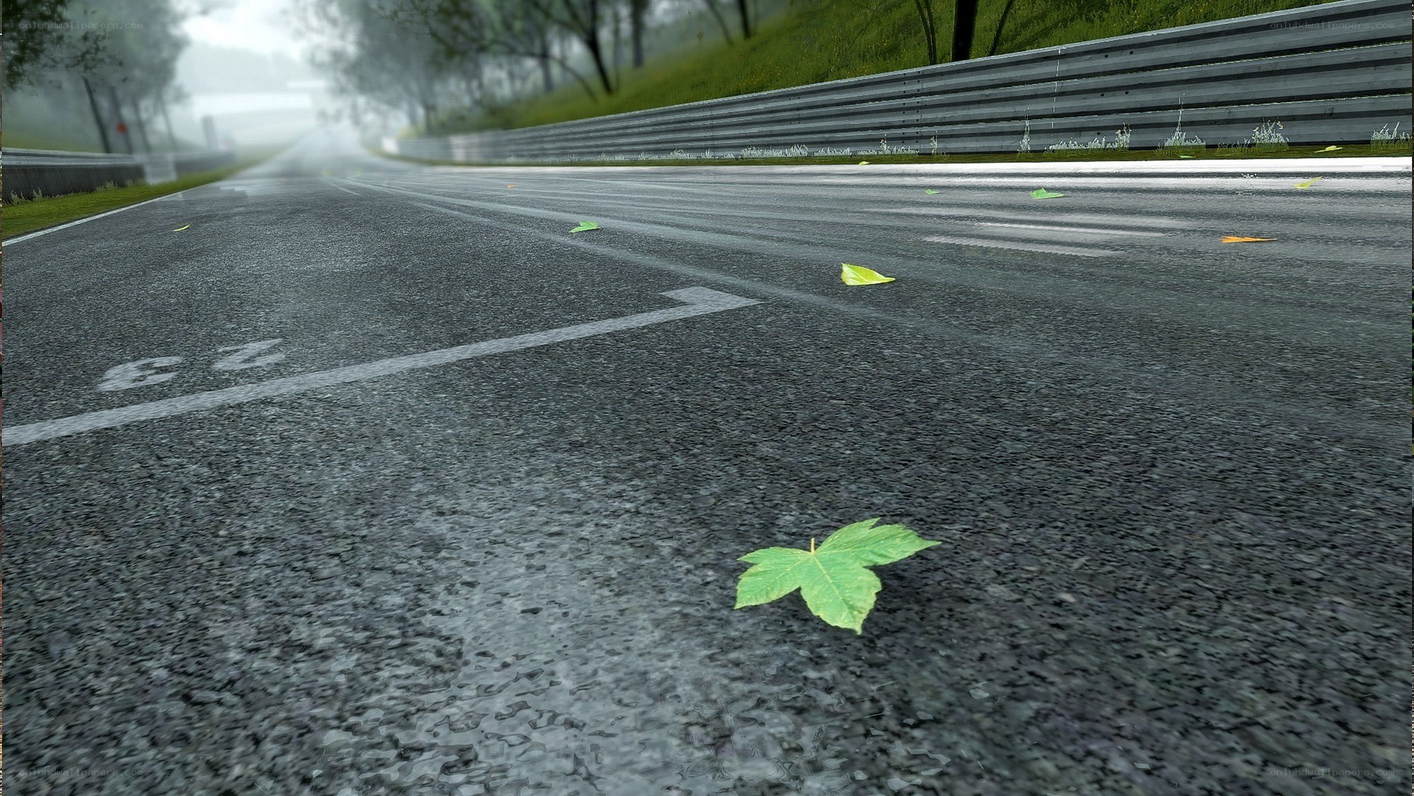 wet racetrack with leaves