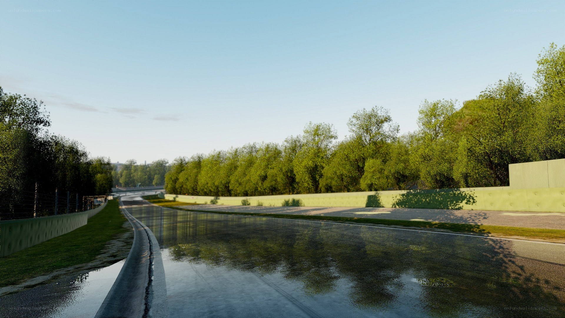 wet racetrack with trees