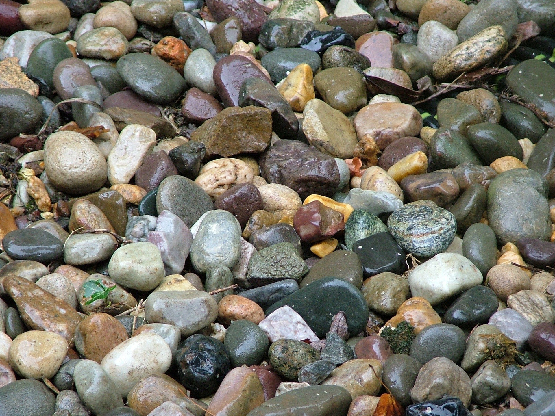 wet river stones