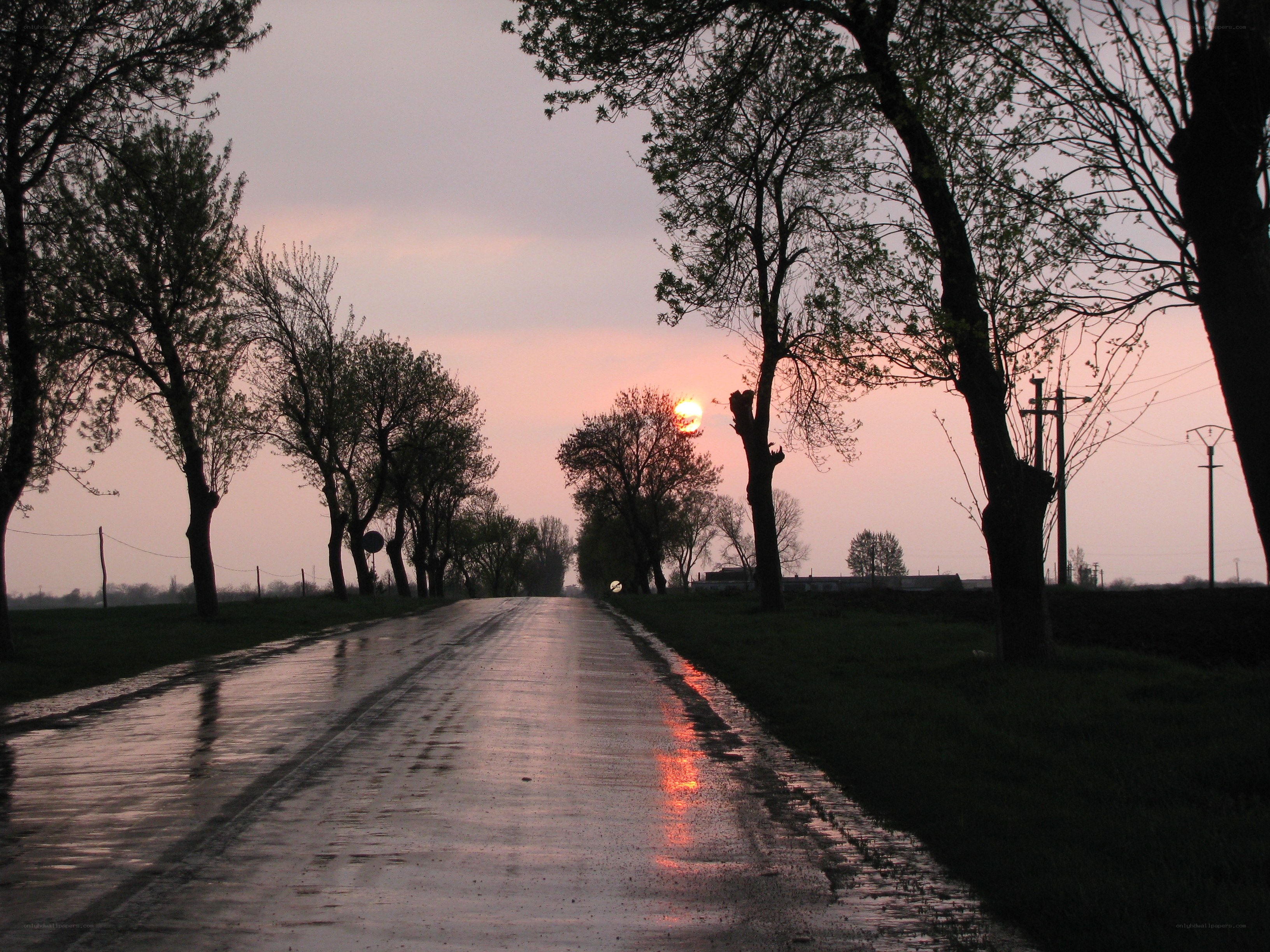 wet road at sunset
