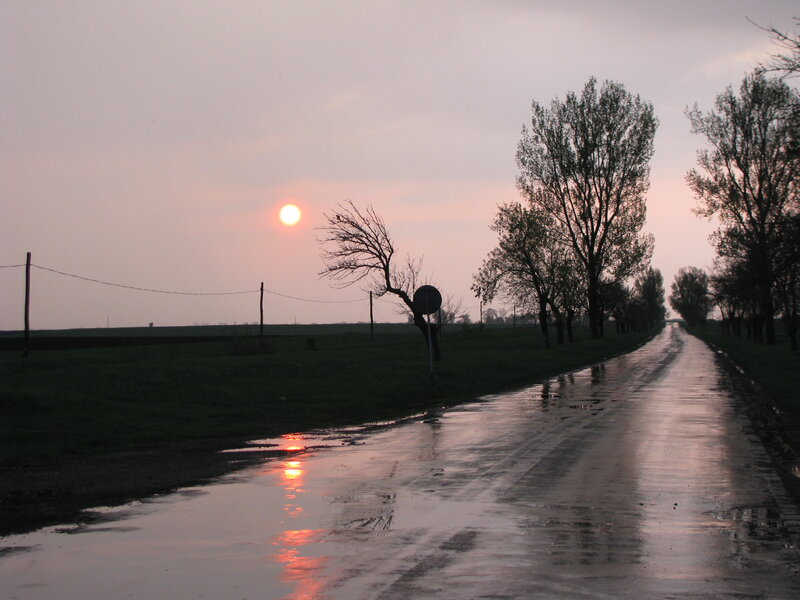 Wet Road at Sunset — Gray, Serene