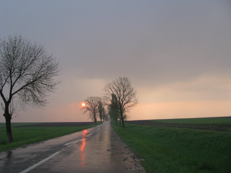 Wet Road at Sunset — Gray