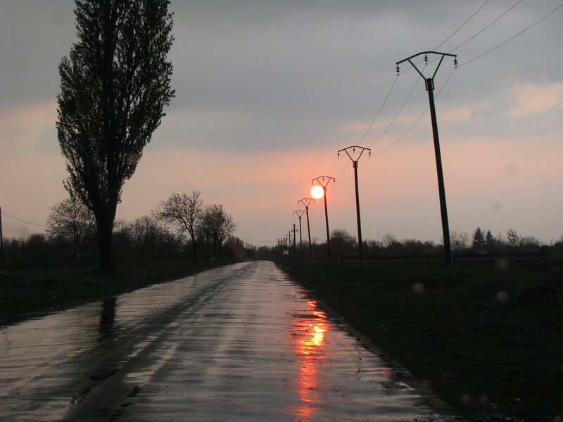 Wet road at sunset with power lines