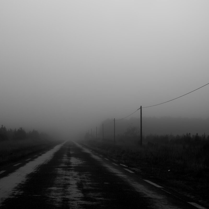 Wet Road in Fog