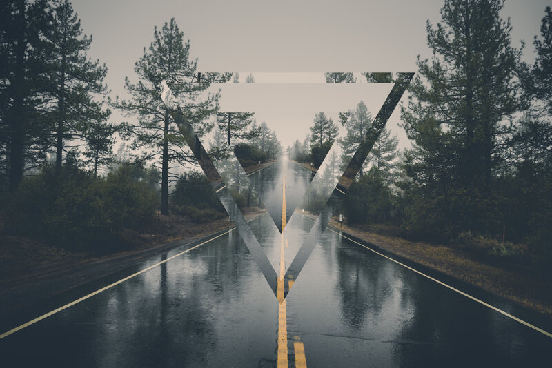 Wet Road in Forest — Gray, Moody, Morning, Photograph