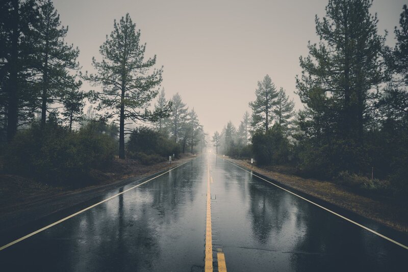 Wet Road in Forest — Gray