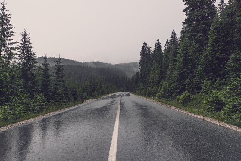 Wet Road in Forest — Green, Moody, Morning, Photograph, Trees, Mountains
