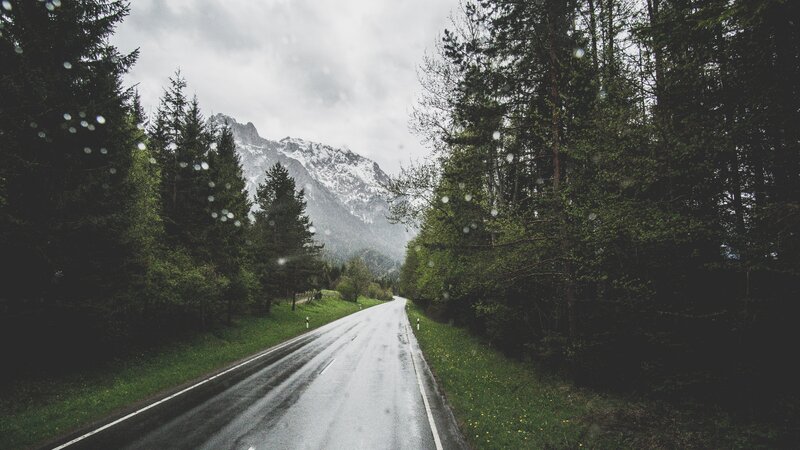Wet Road in Forest — Green, Moody, Spring