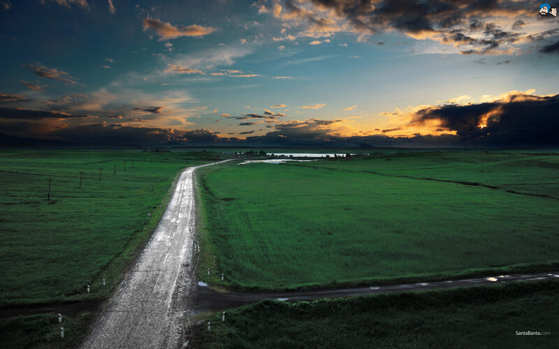 Wet Road Through Green Fields