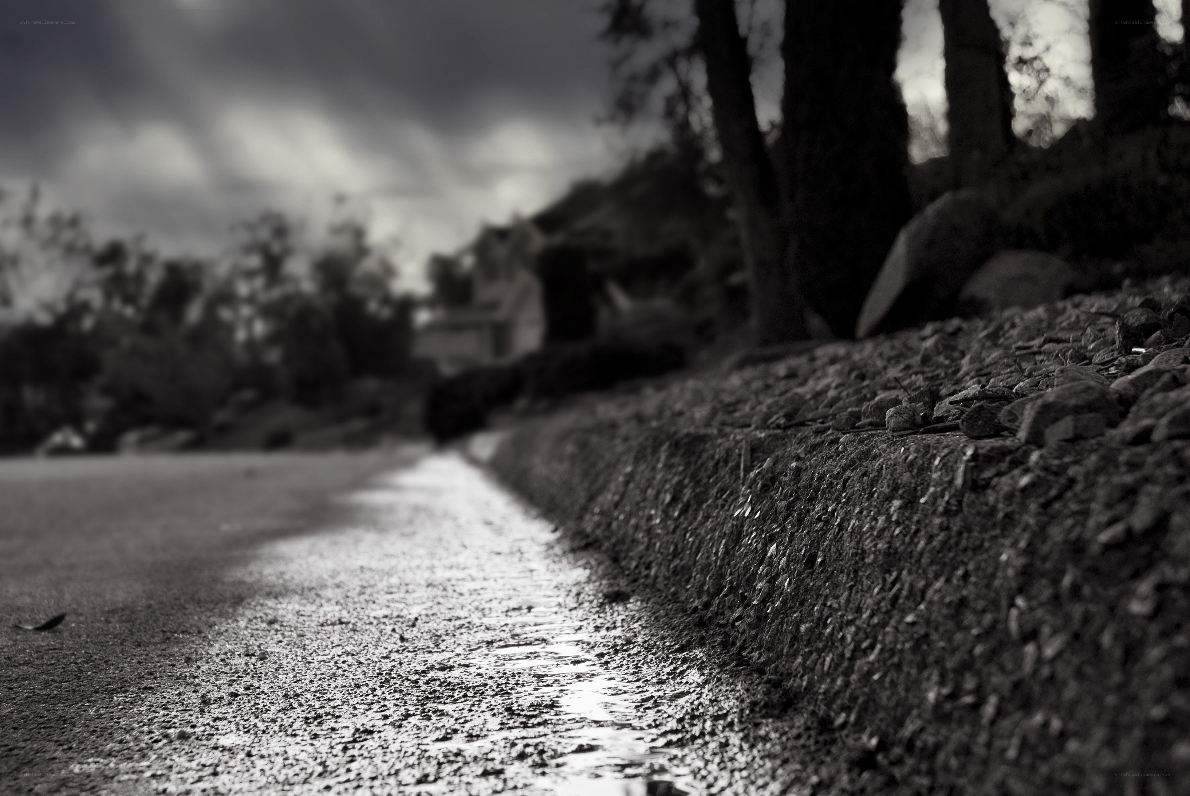 wet road under stormy sky