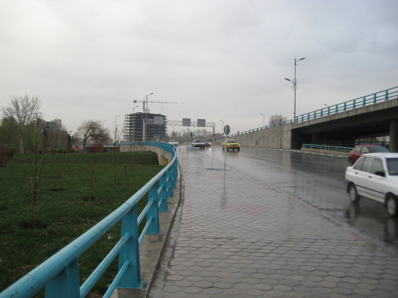Wet Road with Cars