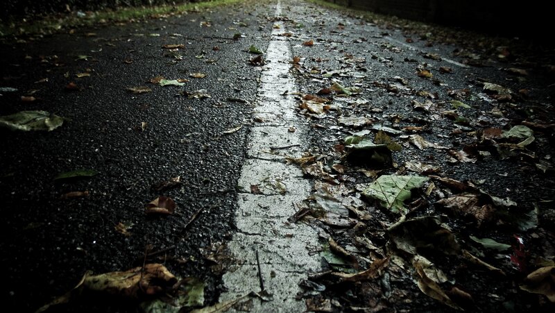 wet road with fallen leaves