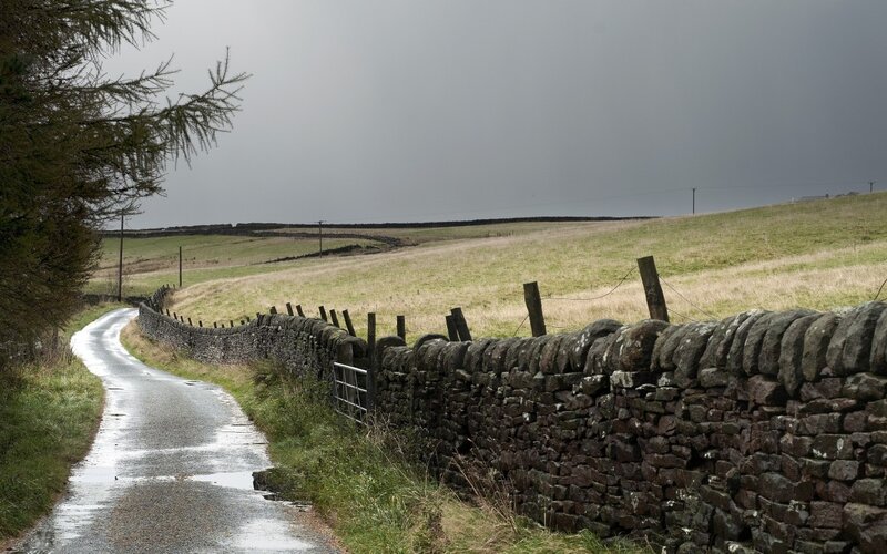 Wet Road with Stone Wall — Gray