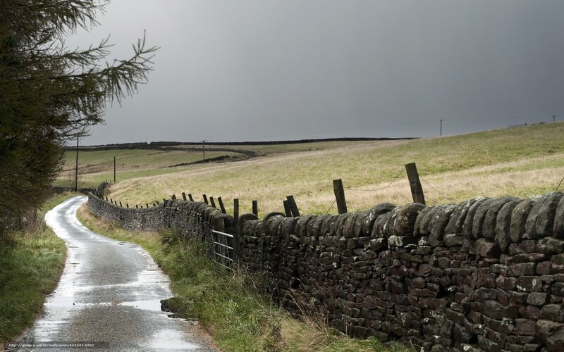 Wet road with stone wall